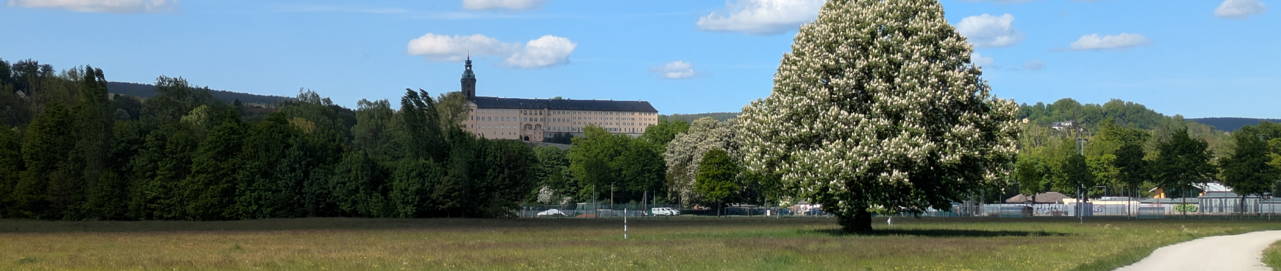 Notar-Kuehne-Banner_02
